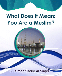 What Does it Mean: You Are a Muslim?