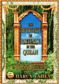 THE IMPORTANCE OF PATIENCE IN THE QUR'AN