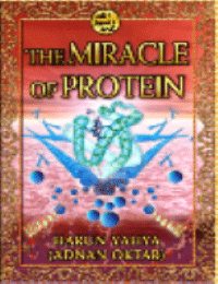 THE MIRACLE OF PROTEIN