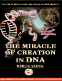 THE MIRACLE OF CREATION IN DNA