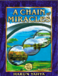 A CHAIN OF MIRACLES