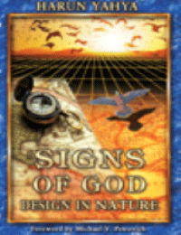 SIGNS OF GOD DESIGN IN NATURE