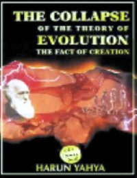 The Collapse Of The Theory Of Evolution