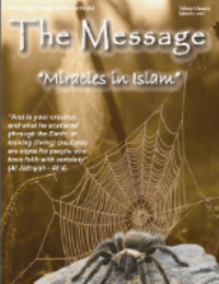 The Message -14