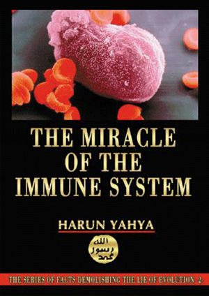 THE MIRACLE OF THE IMMUNE SYSTEM