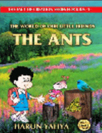 THE WORLD OF OUR LITTLE FRIENDS : THE ANTS