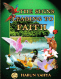 THE SIGNS LEADING TO FAITH