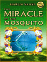 THE MIRACLE IN THE MOSQUITO