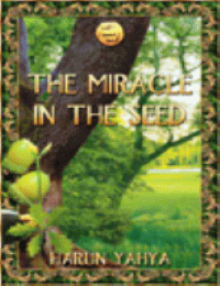 THE MIRACLE IN THE SEED