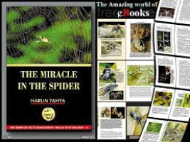 THE MIRACLE IN THE SPIDER