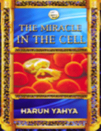 THE MIRACLE IN THE CELL