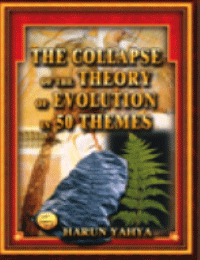 THE COLLAPSE OF THE THEORY OF EVOLUTION IN 50 THEMES