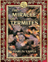 THE MIRACLE OF TERMITES