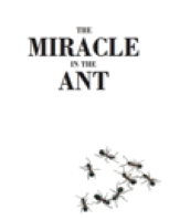 THE MIRACLE  IN THE ANT
Harun Yahya