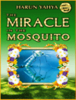 THE MIRACLE IN THE MOSQUITO
Harun Yahya