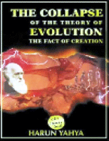 The Collapse Of The Theory Of Evolution
Harun Yahya
