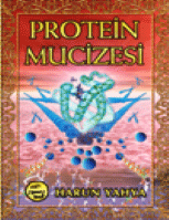 Protein Mucizesi
The Miracle Of Protein
Harun Yahya
