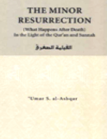 THE MINOR RESURRECTION