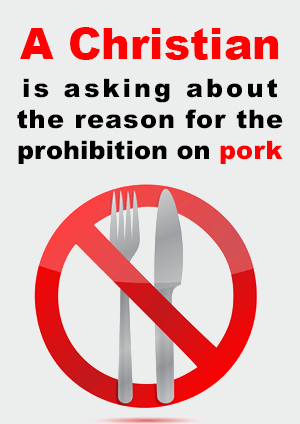 A Christian is asking about the reason for the prohibition on pork