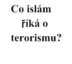 Co islám říká o terorismu?
Co islám říká o terorismu?     
Islam Religion Website